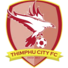 廷布FC